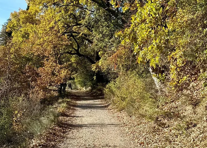 Le Paradis' C'est Ici Apartment *